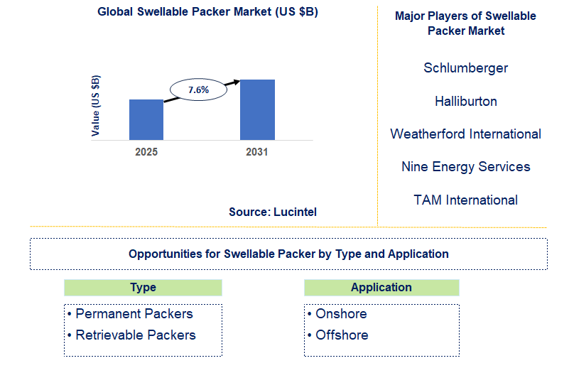 Swellable Packer Market Trends and Forecast